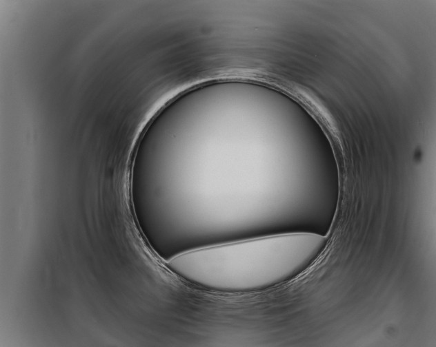 X0000100851340200806200753