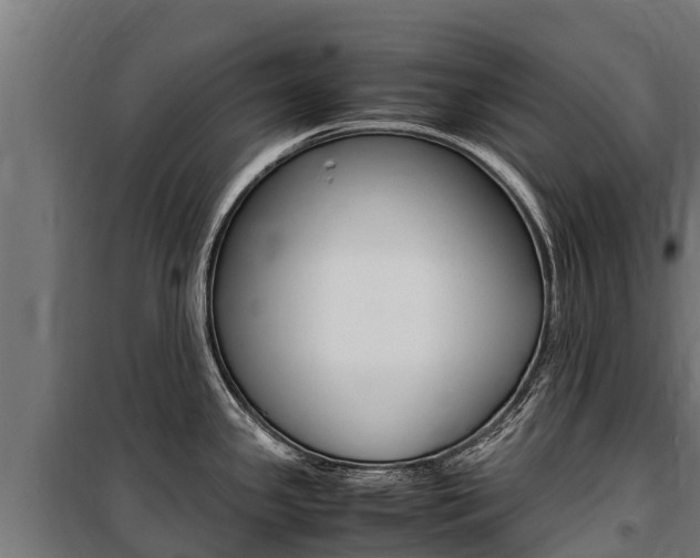 X0000100851341200806200753