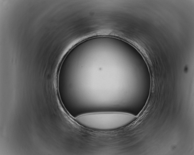 X0000100851342200806200753