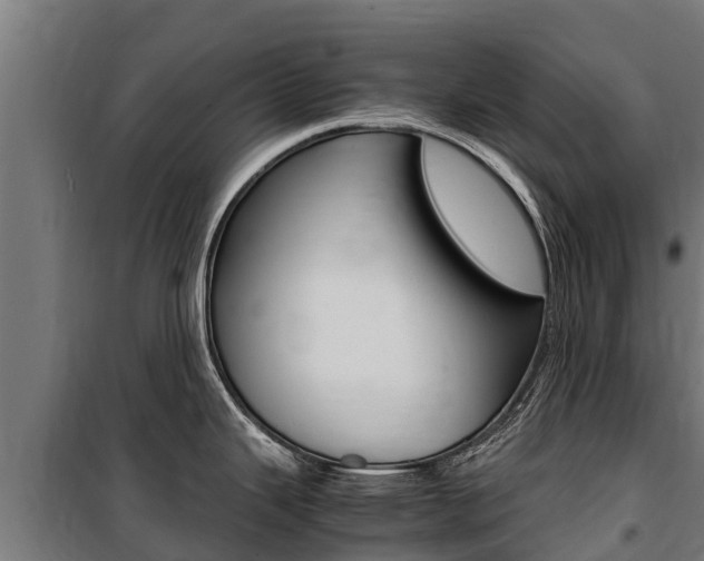 X0000100851343200806200753