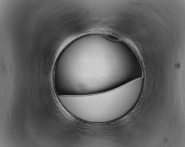X0000100851344200806200753
