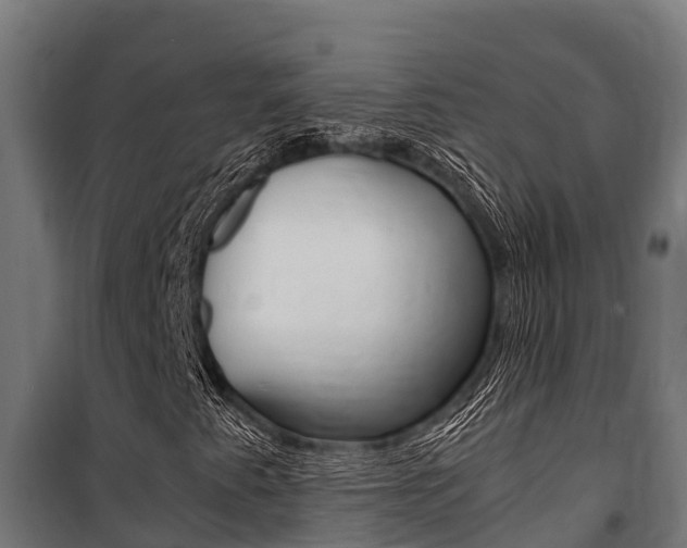 X0000100851345200806200752