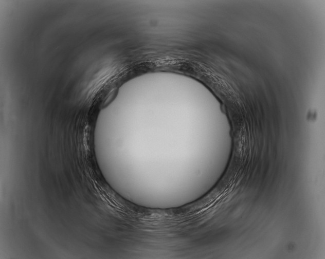 X0000100851346200806200752