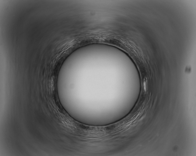 X0000100851347200806200752
