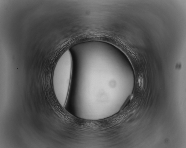 X0000100851348200806200752