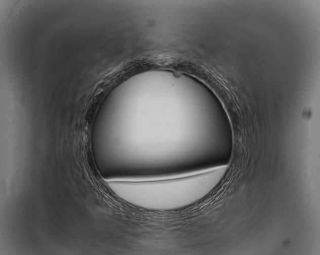 X0000100851349200806200752