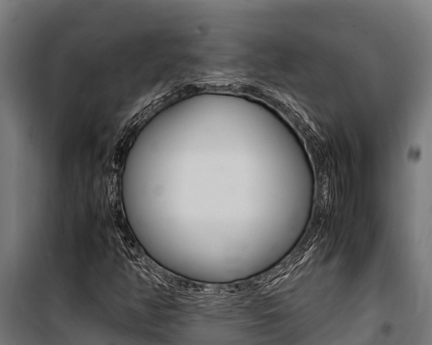 X0000100851350200806200752