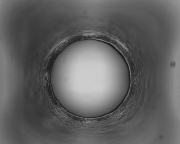 X0000100851351200806200752