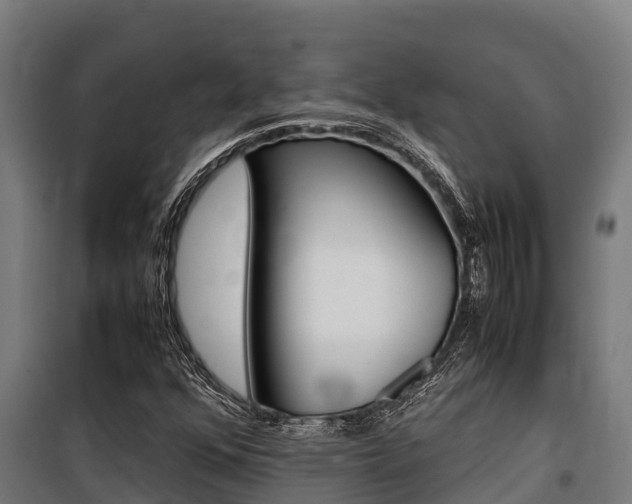X0000100851352200806200752