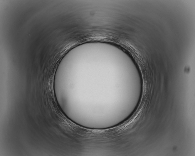 X0000100851353200806200752