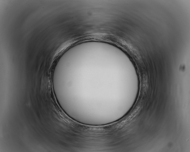 X0000100851354200806200752