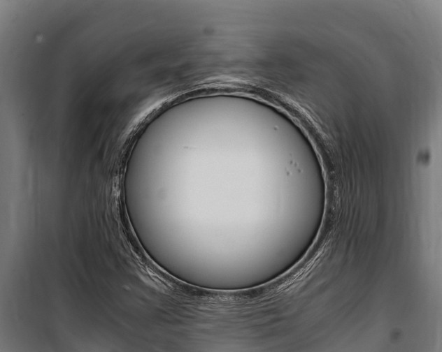 X0000100851355200806200752