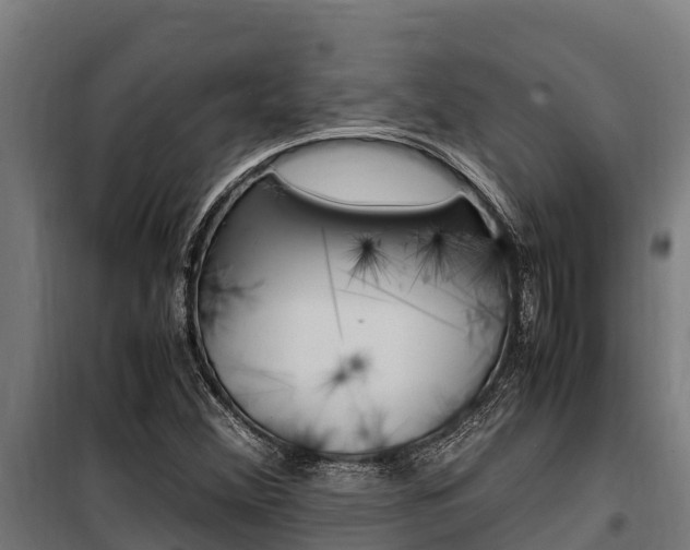 X0000100851356200806200752