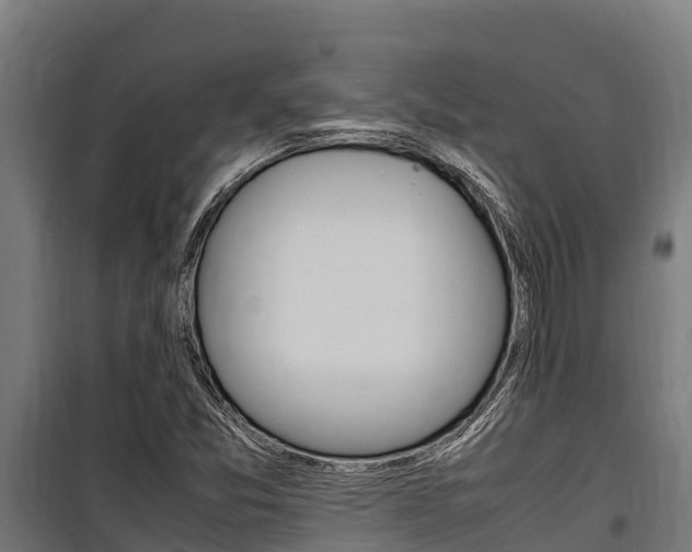 X0000100851357200806200752