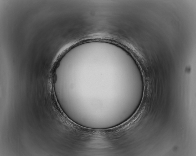 X0000100851358200806200752