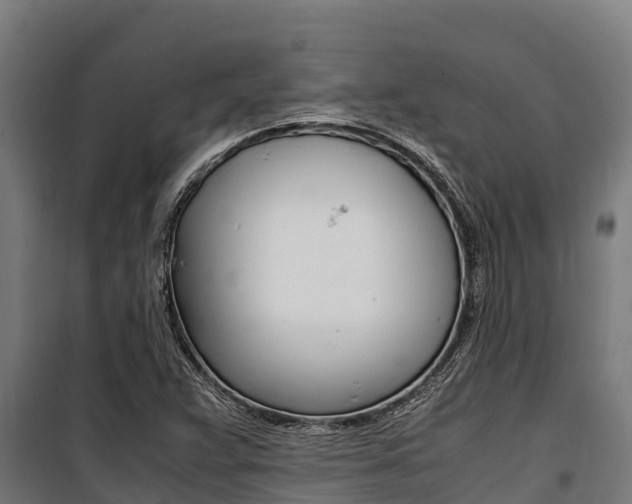 X0000100851359200806200752