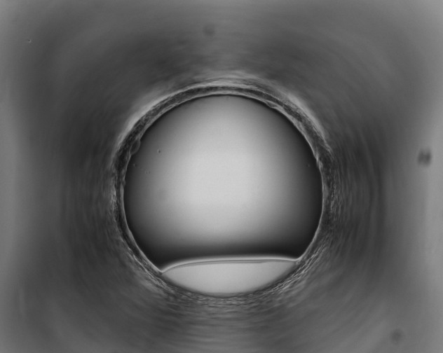 X0000100851360200806200752