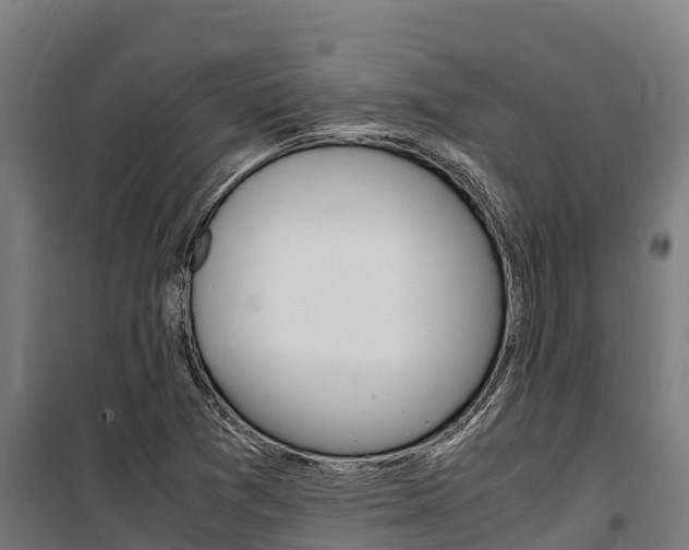 X0000100851361200806200752