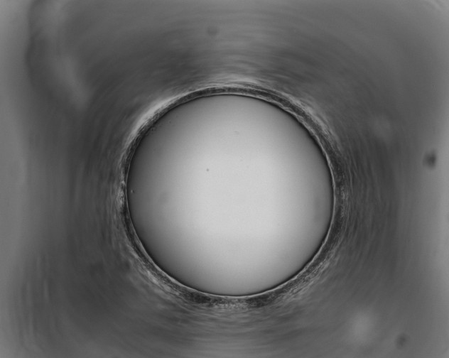 X0000100851363200806200752