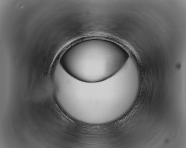 X0000100851364200806200752