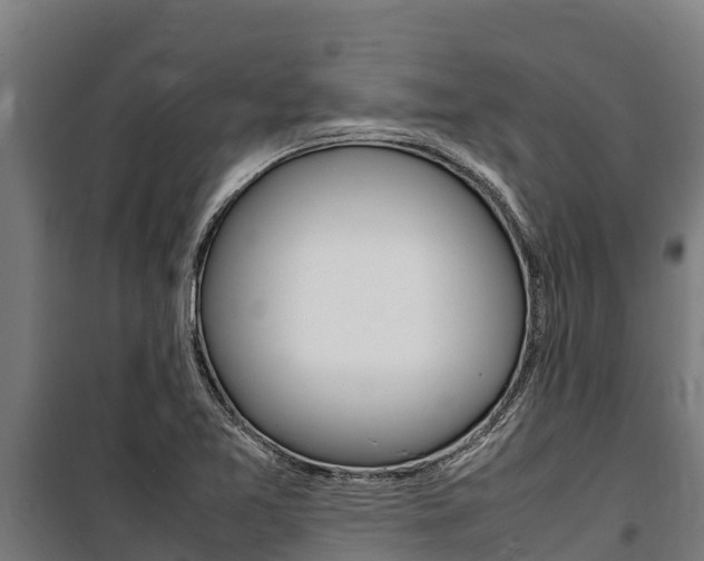 X0000100851365200806200752
