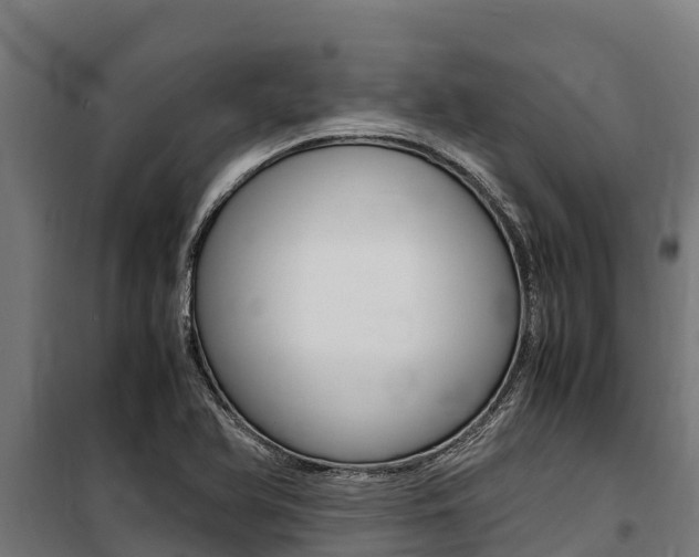 X0000100851366200806200752