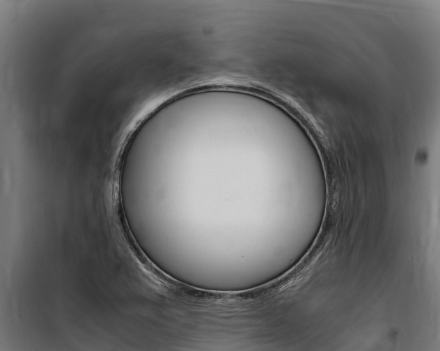 X0000100851367200806200752