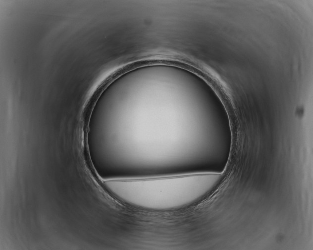 X0000100851368200806200752