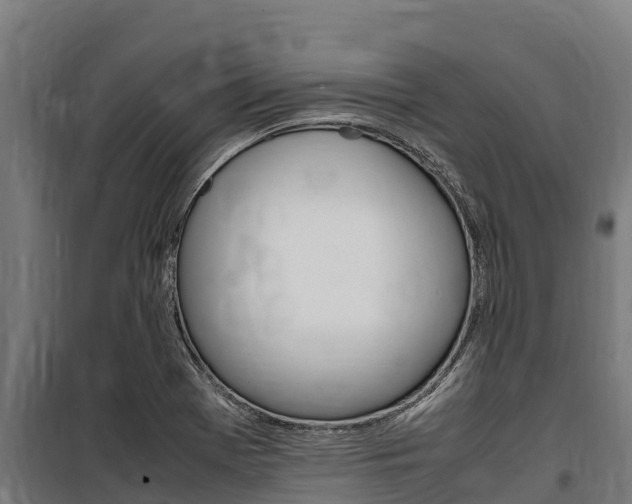 X0000100851369200806200752
