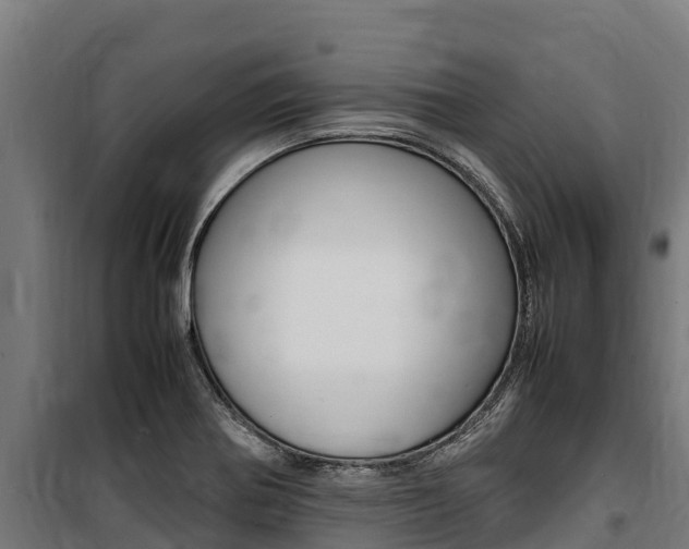 X0000100851370200806200752