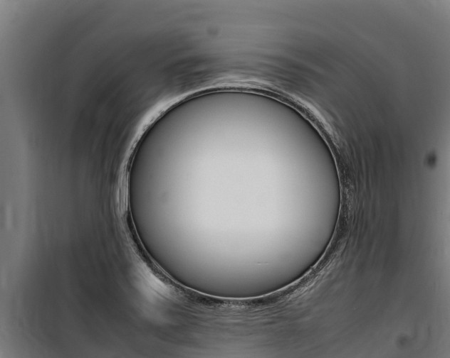 X0000100851371200806200752