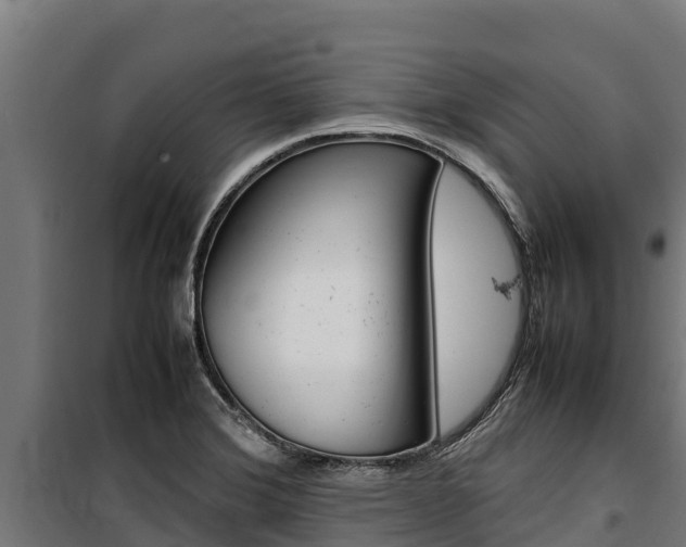 X0000100851372200806200752