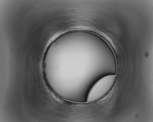 X0000100851373200806200752