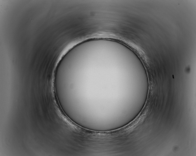 X0000100851374200806200752