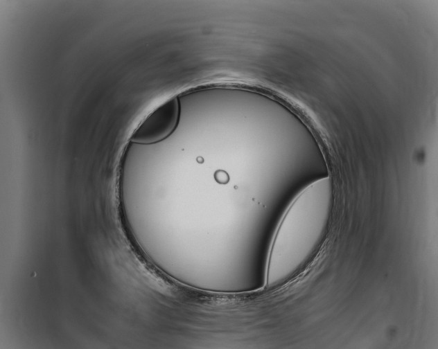 X0000100851375200806200752