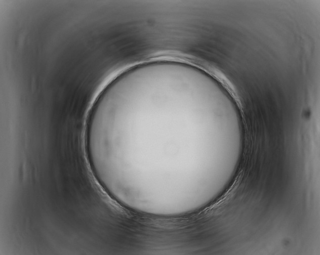 X0000100851376200806200752