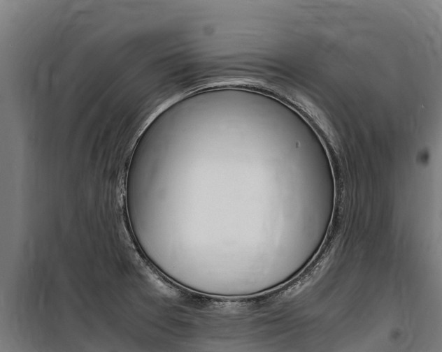 X0000100851377200806200752