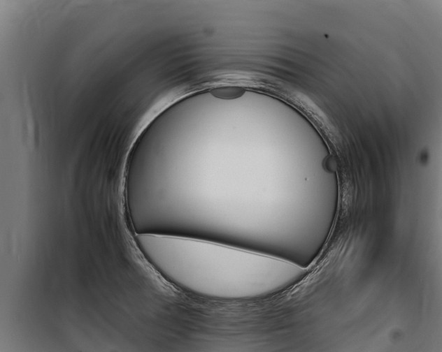 X0000100851378200806200752