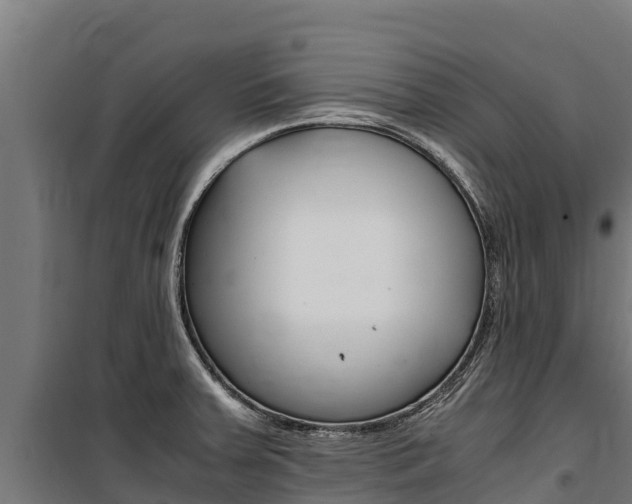 X0000100851379200806200752