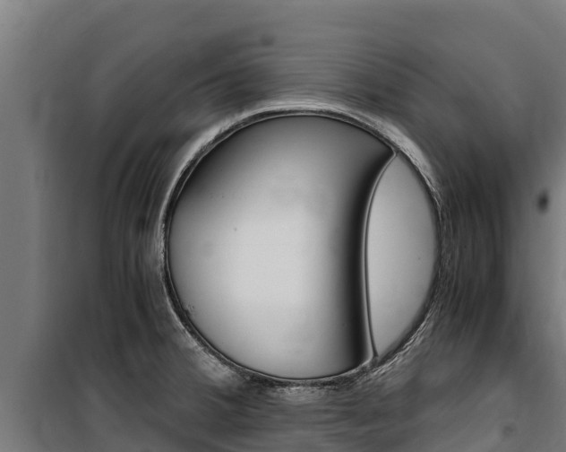 X0000100851380200806200752
