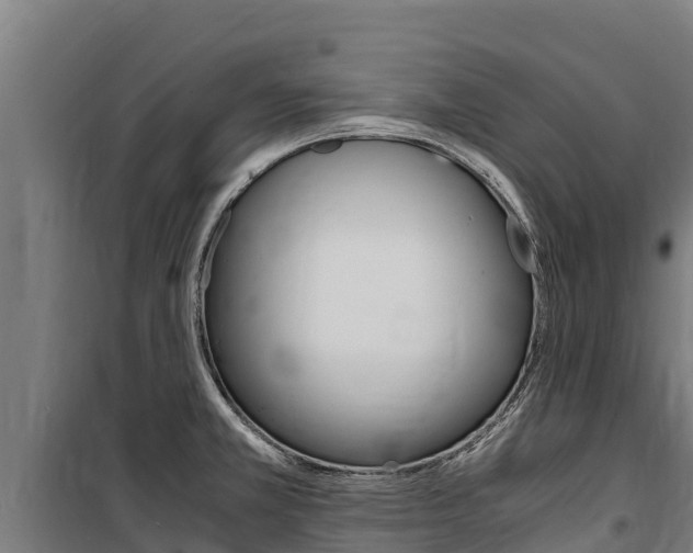 X0000100851381200806200752
