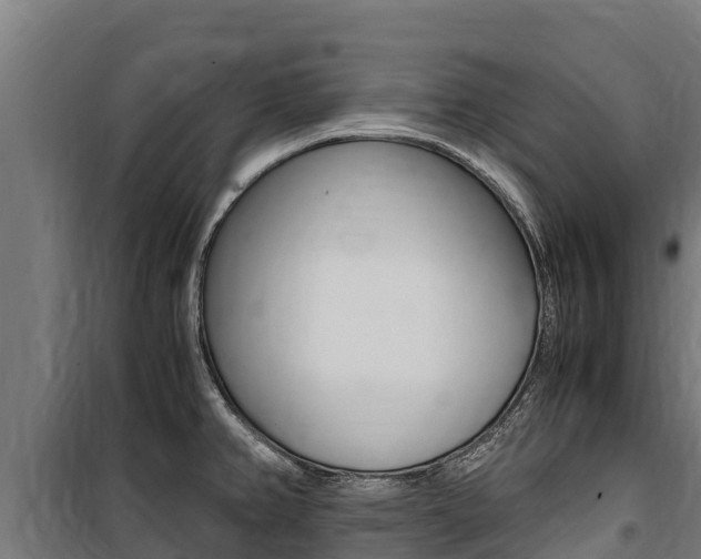 X0000100851382200806200752