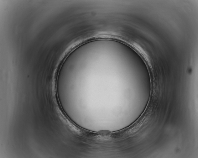 X0000100851384200806200752
