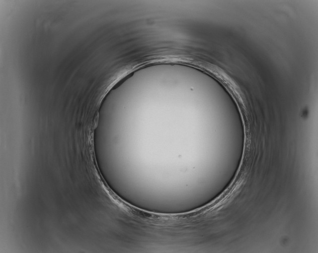 X0000100851385200806200752
