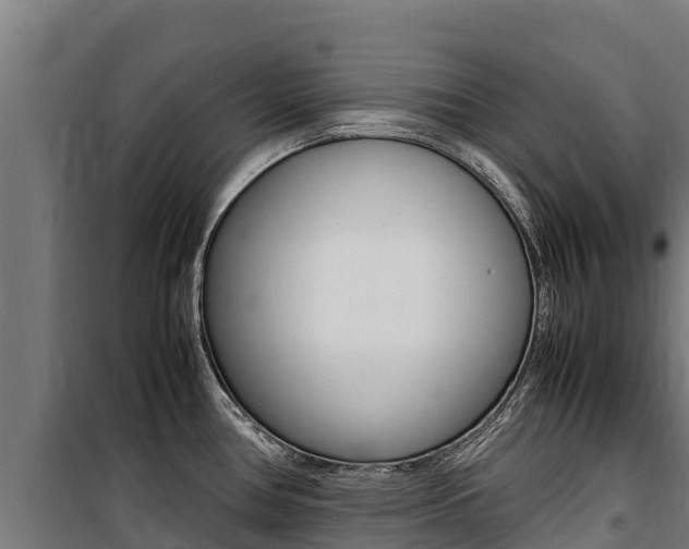 X0000100851386200806200752