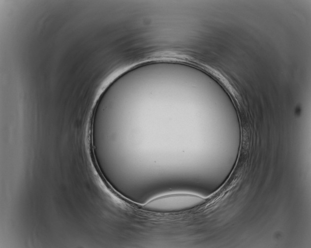 X0000100851387200806200752