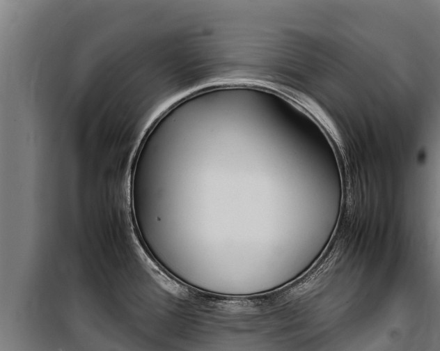 X0000100851388200806200752