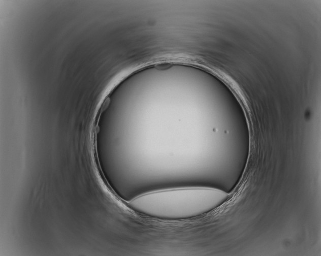 X0000100851389200806200752