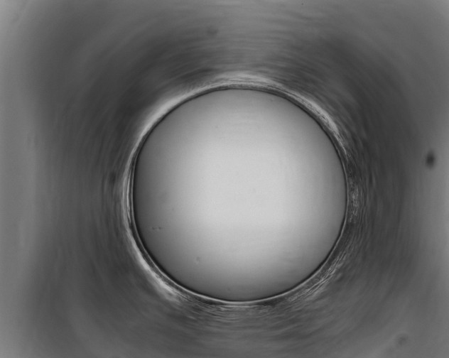 X0000100851391200806200752