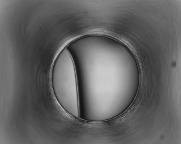 X0000100851392200806200752